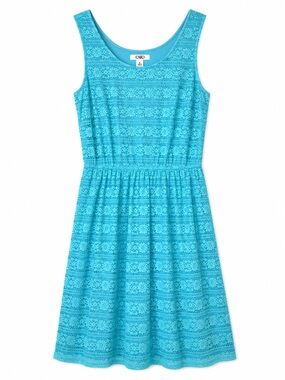 Cato Blue Lace Fit & Flare Dress Size 8 Sleeveless Lined